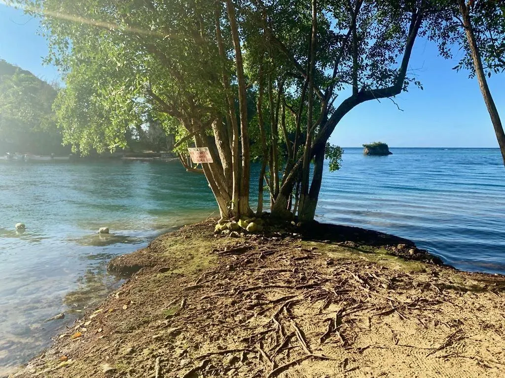 Tha Lagoon Spot Caribbean Breeze Port Antonio